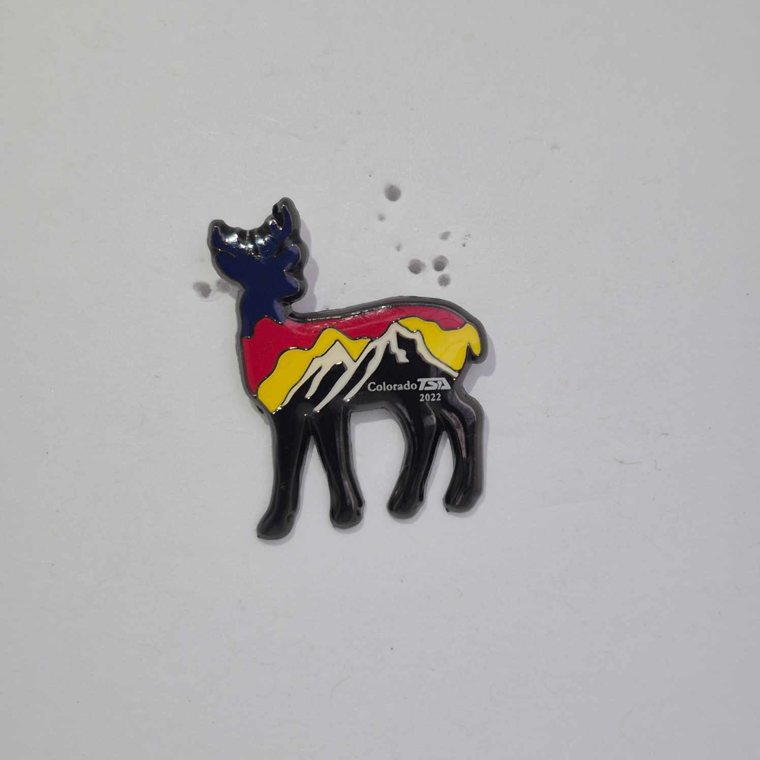 CO 2022 State Pin