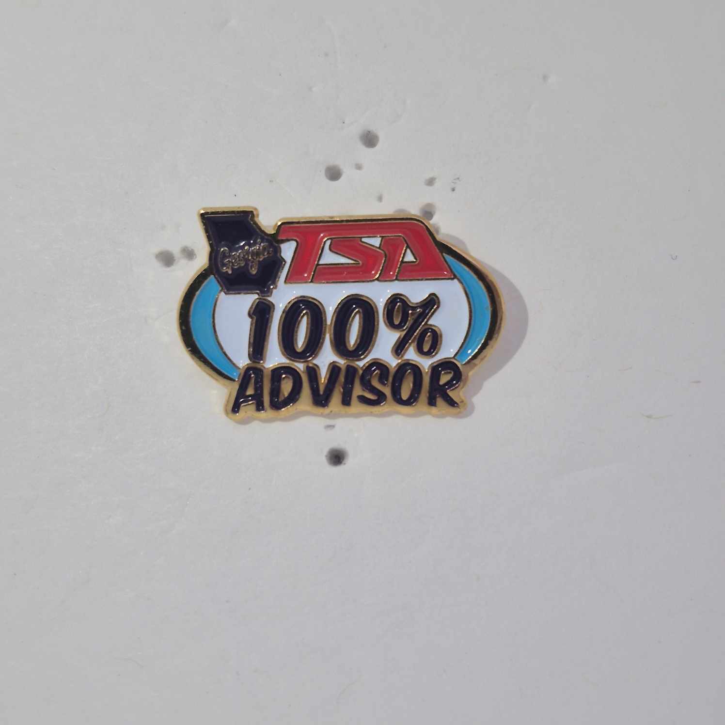 GA State Advisor Pin