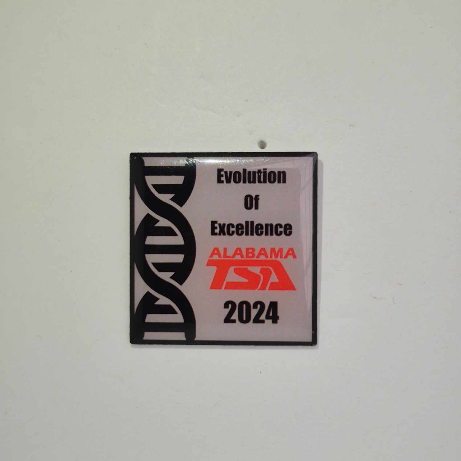 AL 2024 State Pin