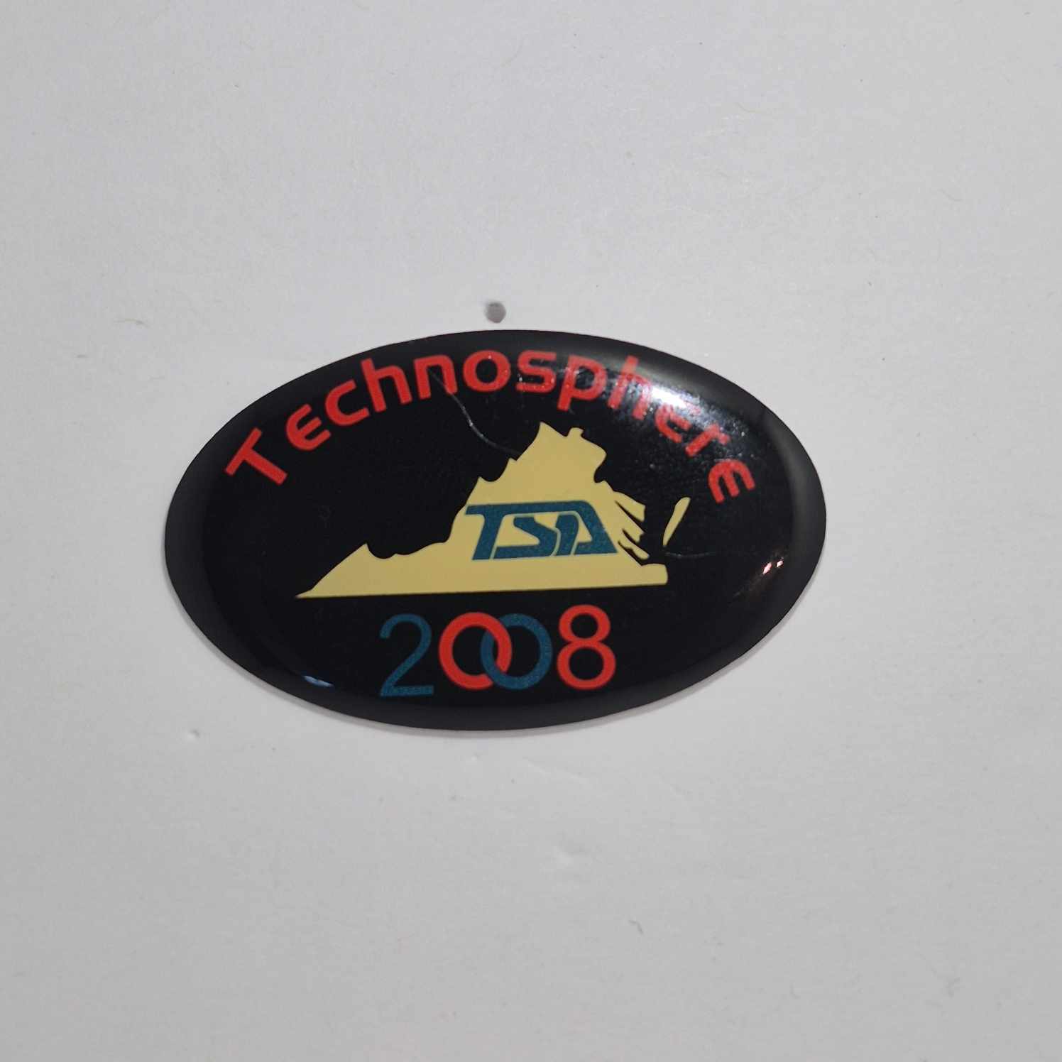 VA 2008 State Pin
