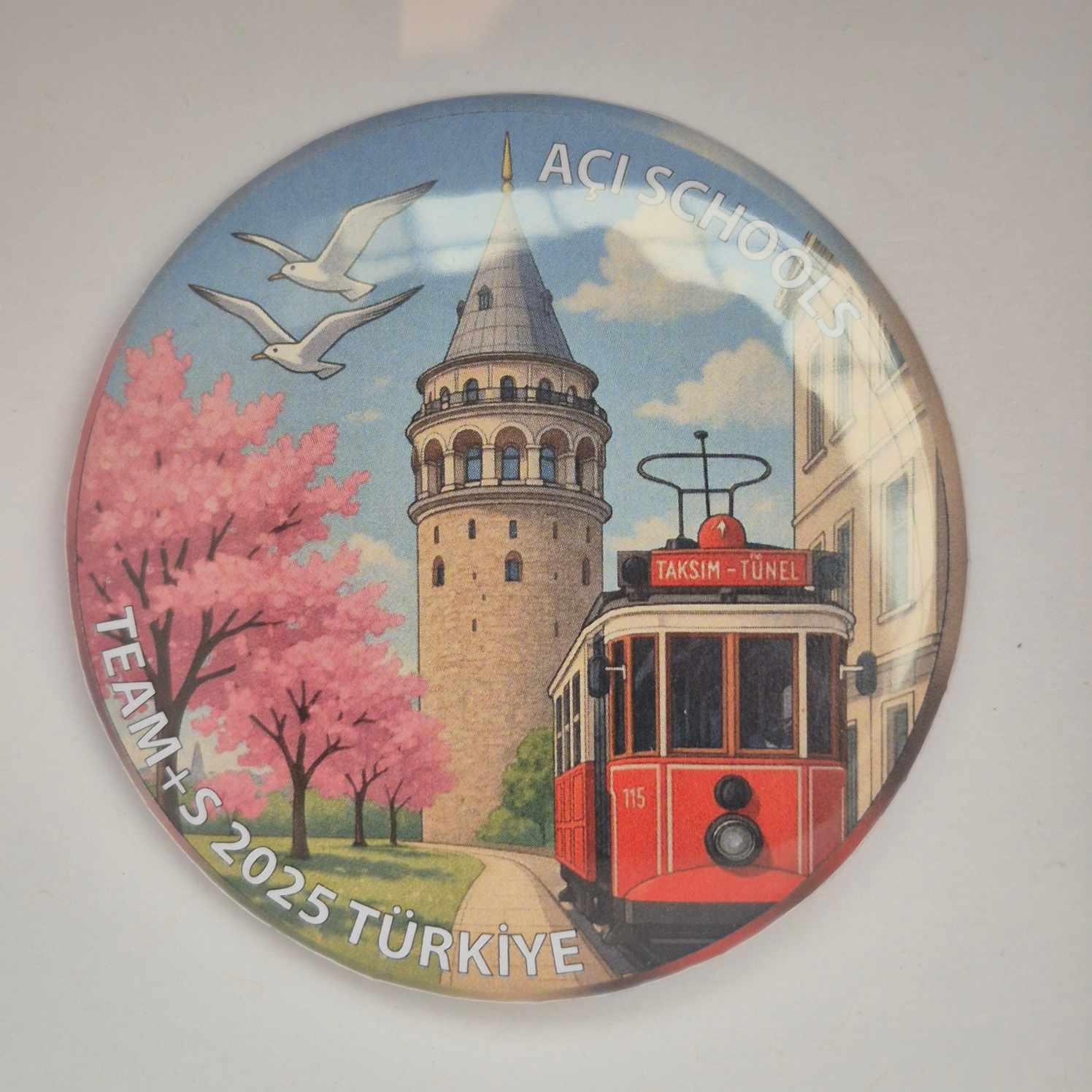 Turkey 2025 Button