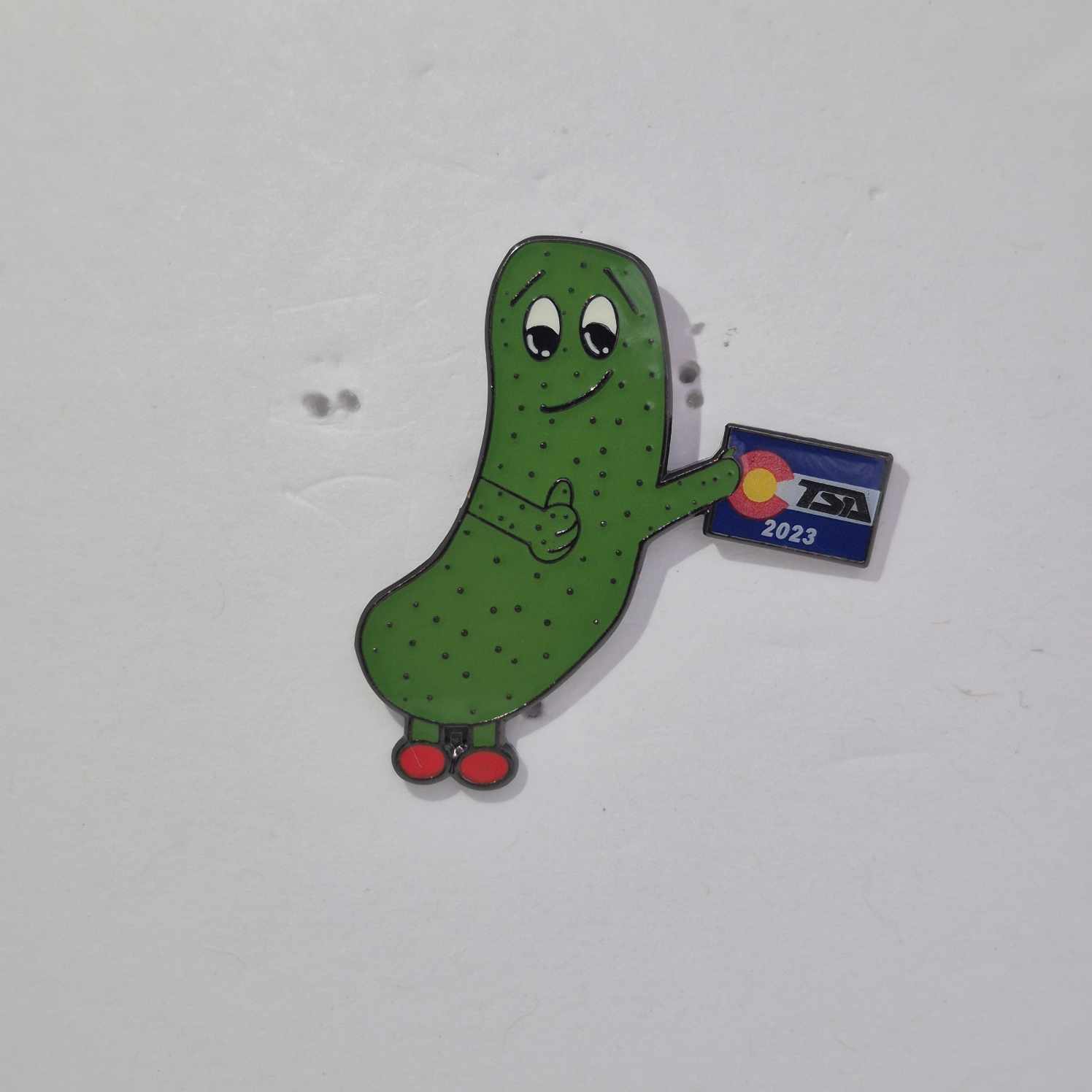 CO 2023 State Pin