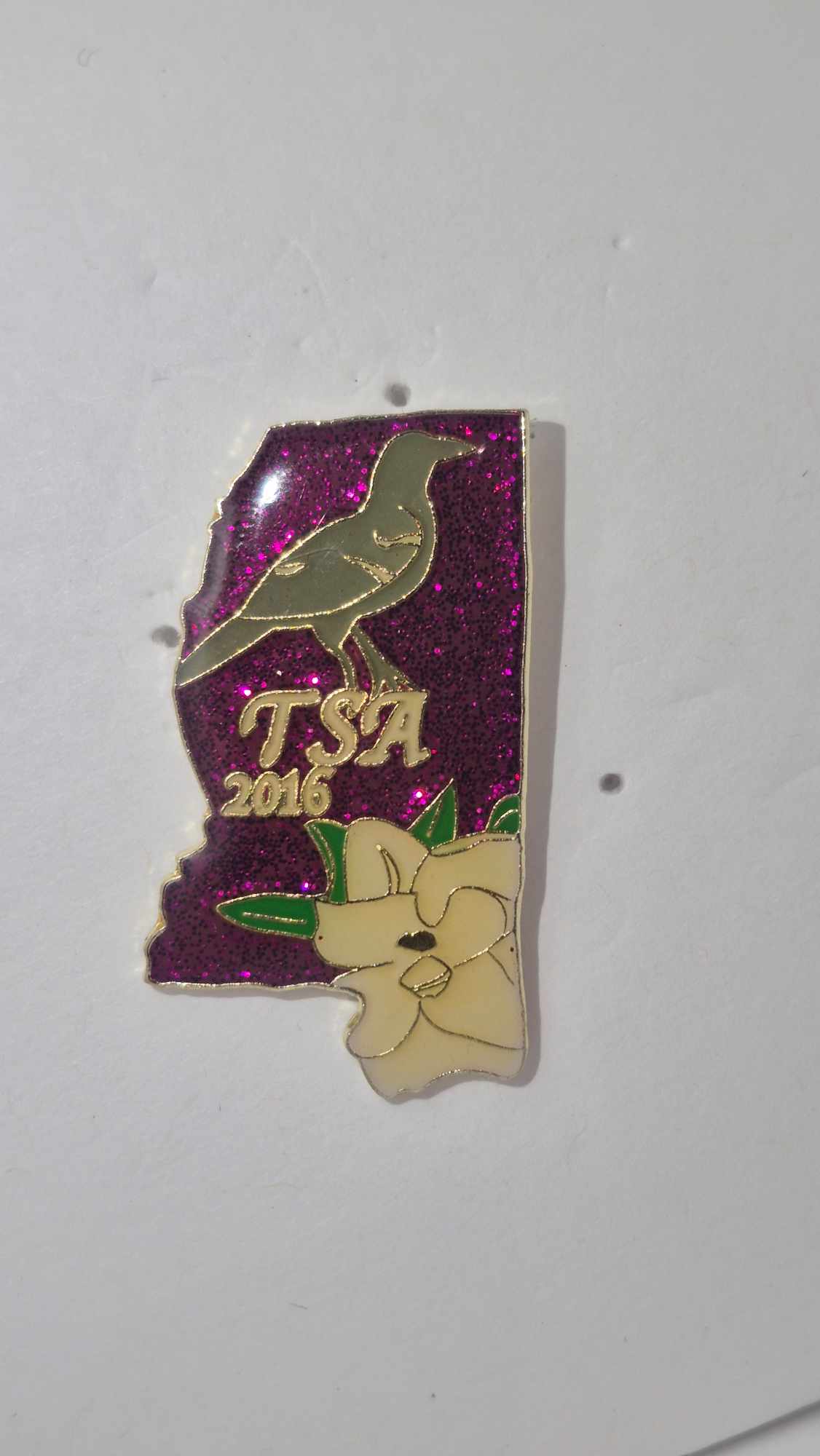 MI 2016 State Pin