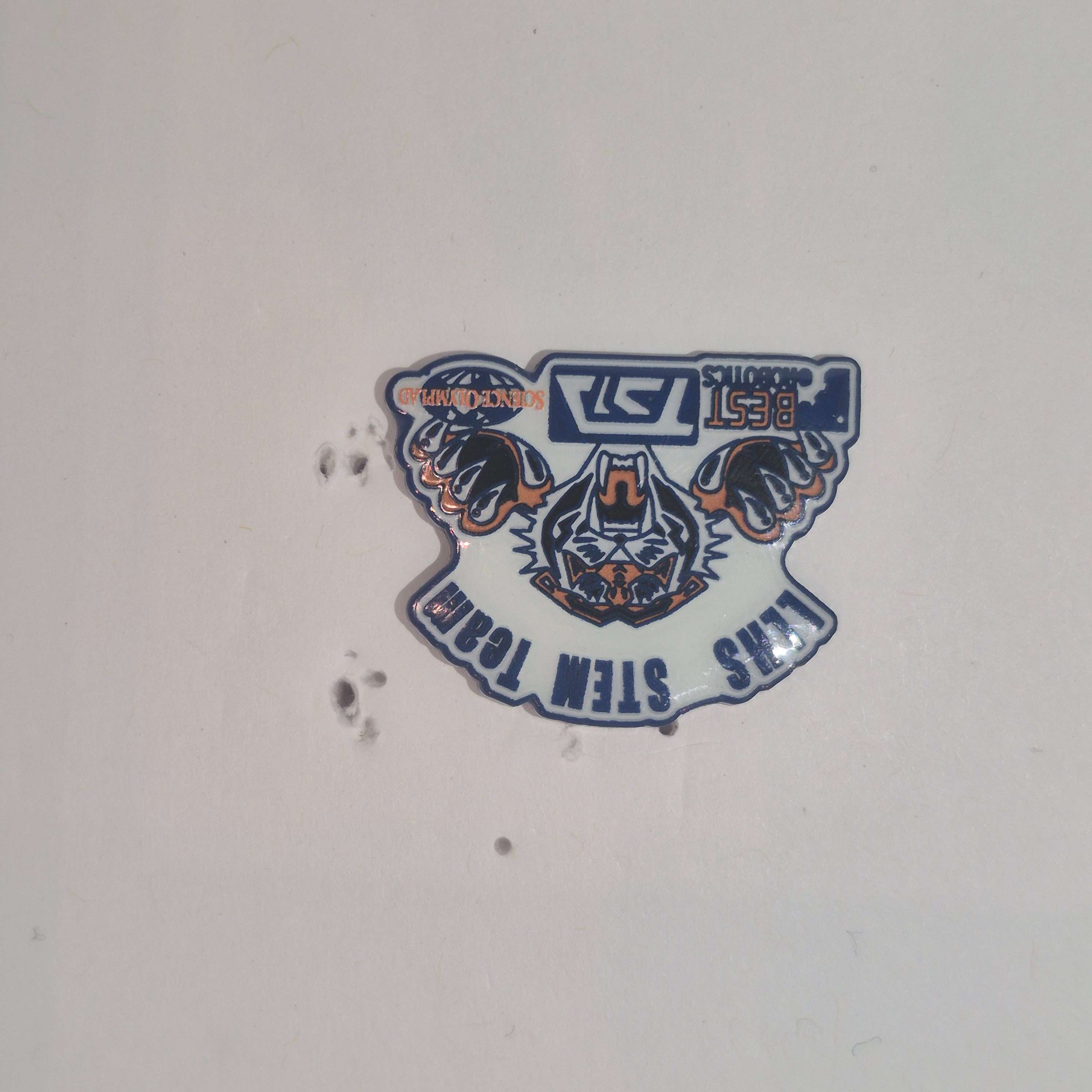 LLHS Chapter Pin
