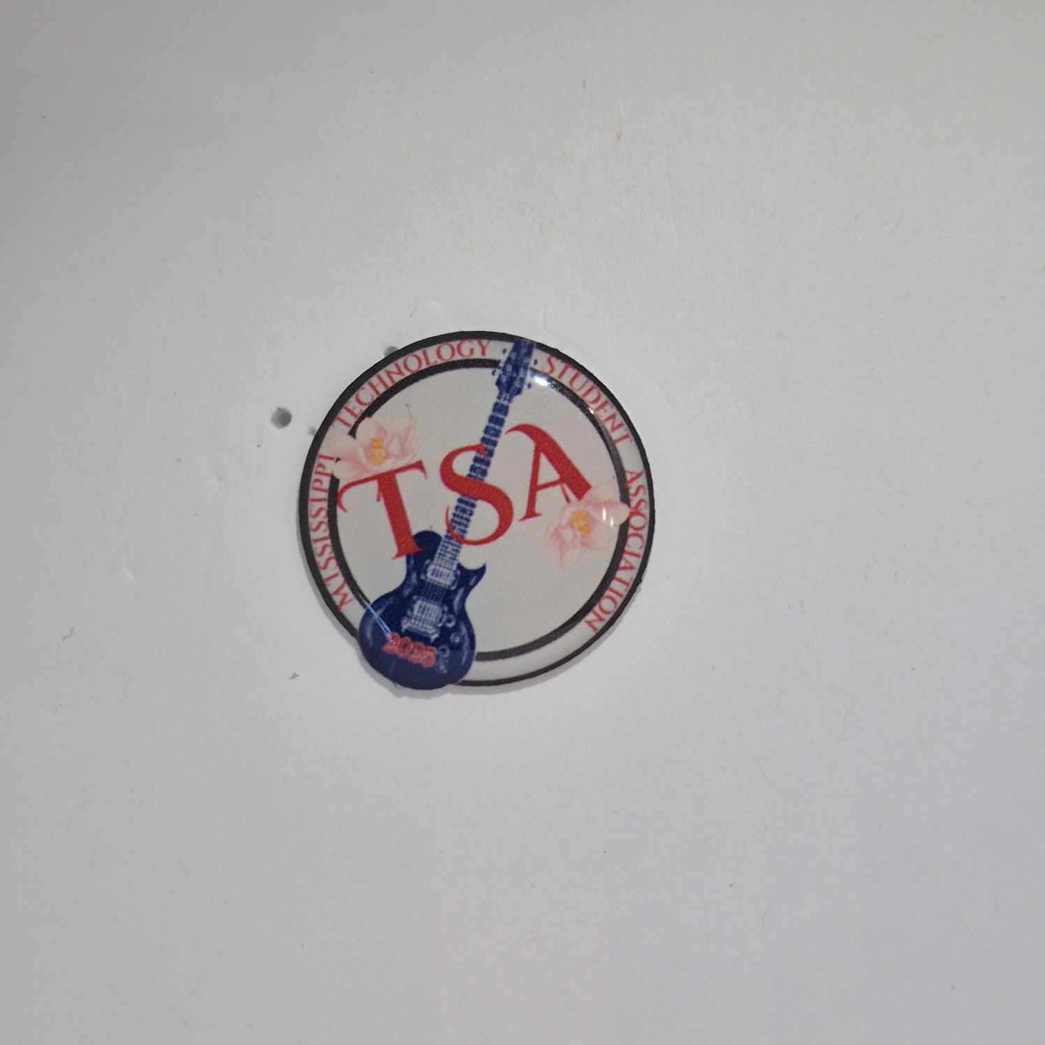 MS State Pin