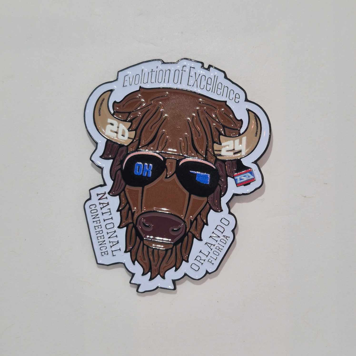 OH 2024 State Pin