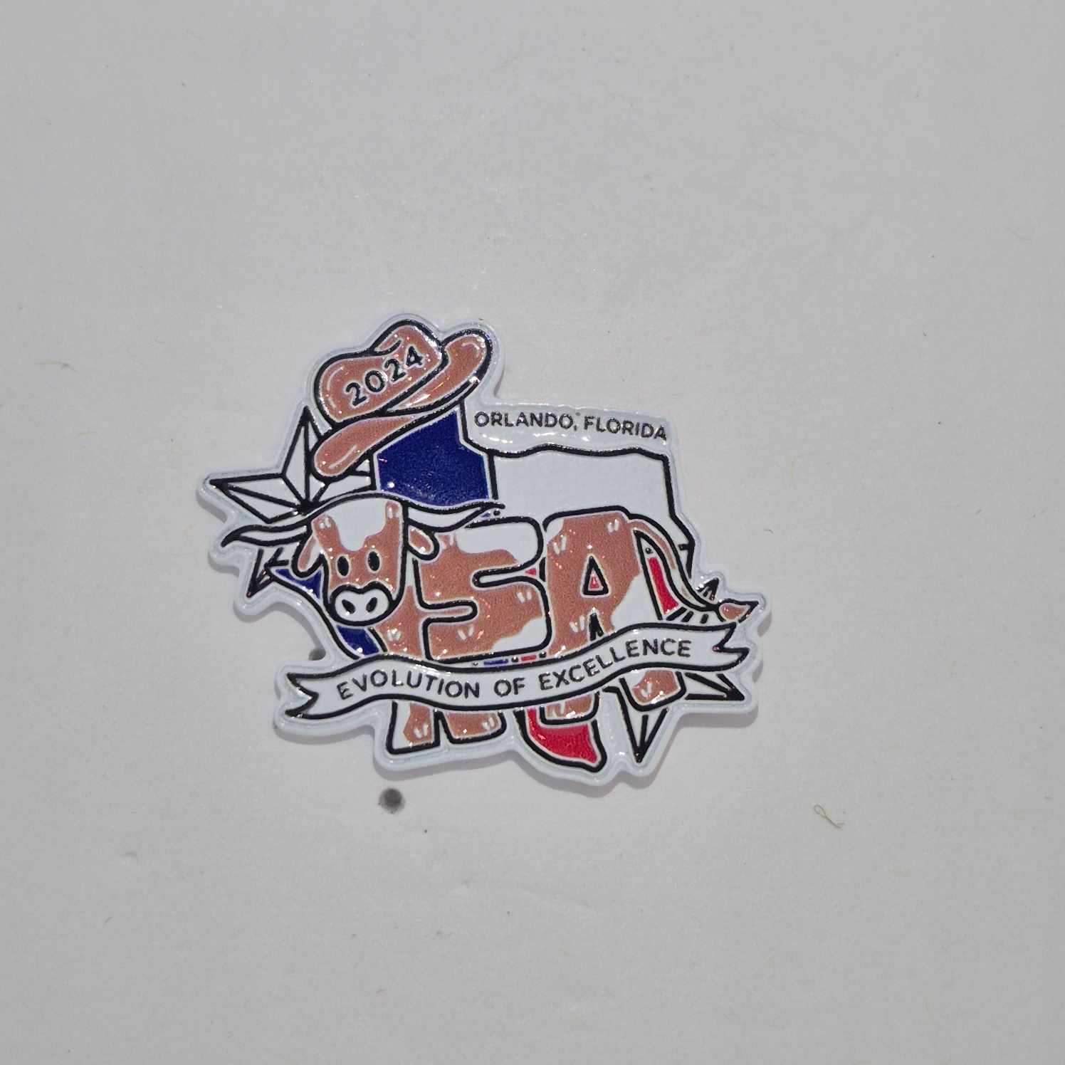 TX 2024 State Pin