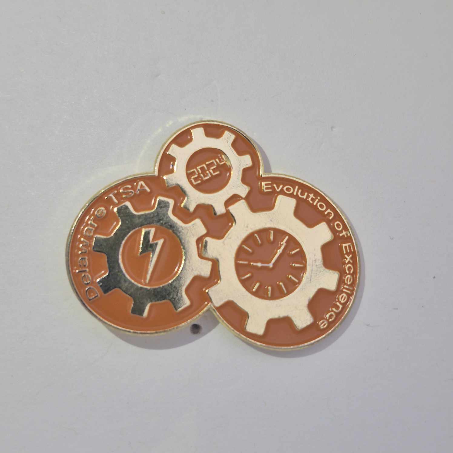 DE 2024 State Pin