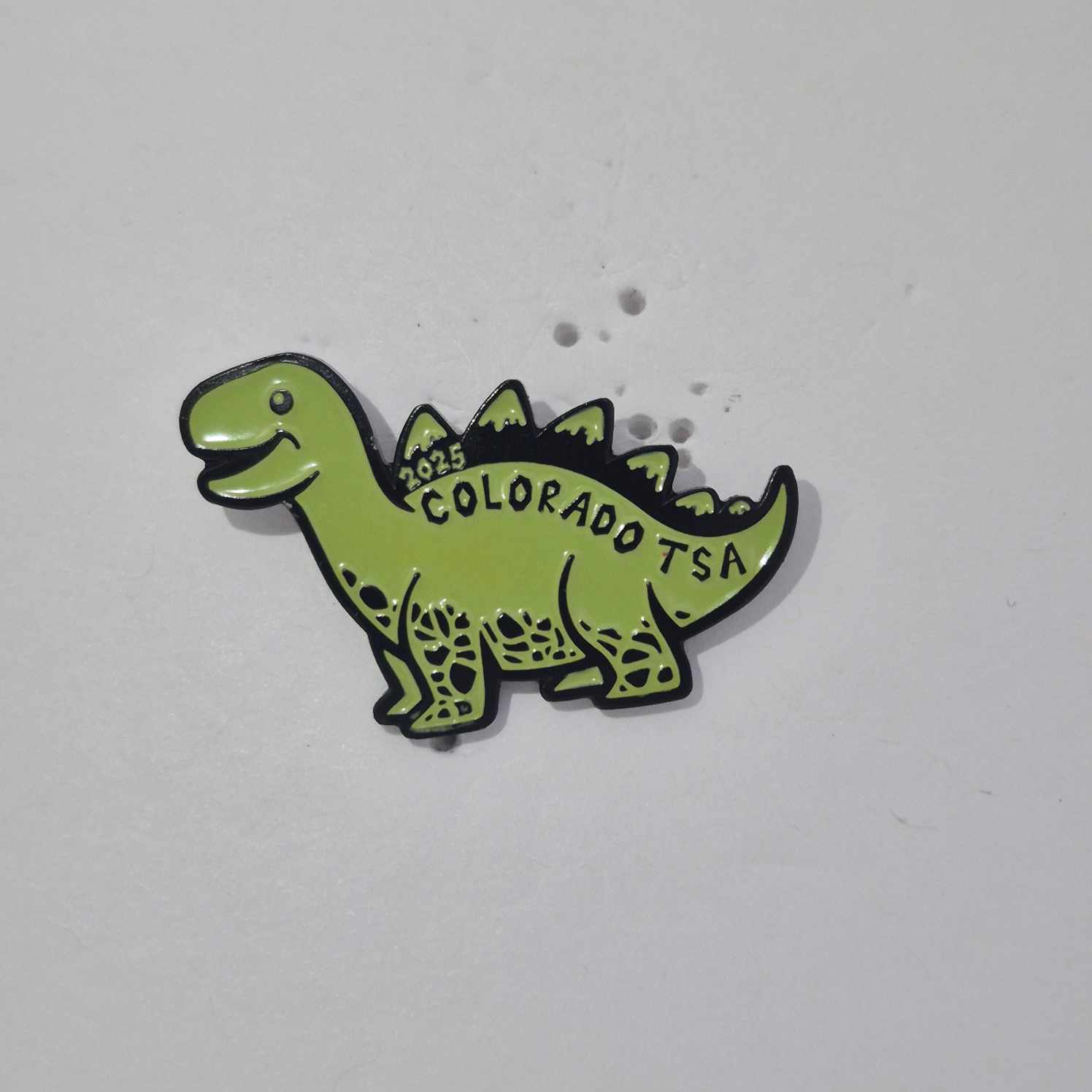 CO 2025 State Pin