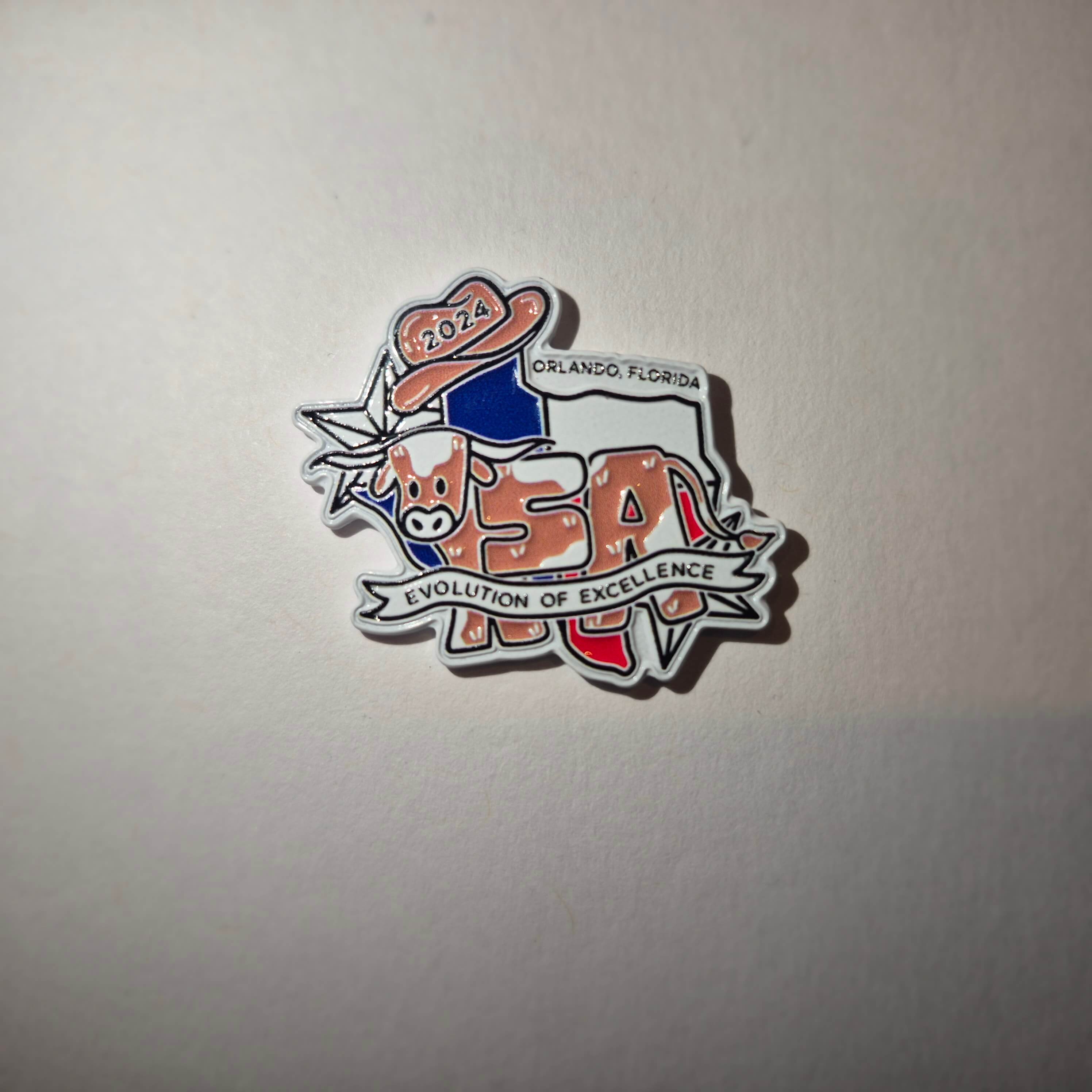 FL 2024 State Pin